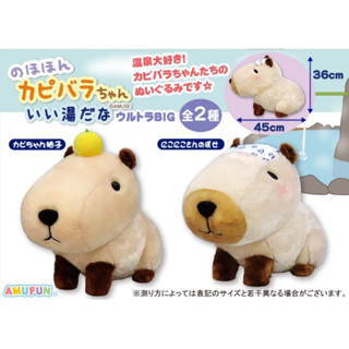 新上市！💐AMUFUN 正版授權 日本景品 水豚君 娃娃 45cm 卡皮巴拉 泡溫泉 柚子 橘子【2025全新現貨】