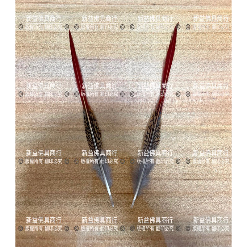 📣新益佛具商行📣 雉雞毛 雞毛 太子用雉雞毛 羽毛 3寸6神尊用雉雞毛 中壇元帥 三太子 殿下