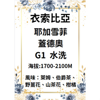 【環群咖啡生豆】B04 衣索比亞 耶加雪菲 蓋德奧 G1 水洗 咖啡生豆 生豆 咖啡濾紙 濾掛式咖啡 咖啡壺