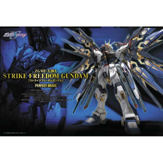 BANDAI PG 1/60 攻擊自由 ZGMF-X20A Strike Freedom 貨號5063056