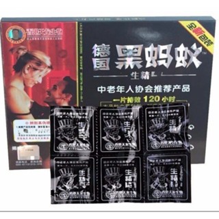 🇩🇪德國 黑螞蟻 🐜🐜🐜