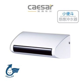Caesar 凱撒 小便斗自動感應沖水器 沖水器 自動感應器 小便斗 外露式自動感應器 A648 (含發票)