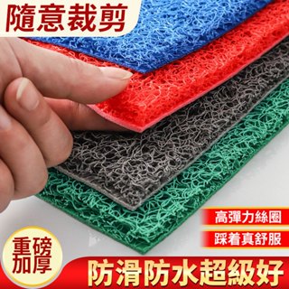 客製化臺灣出貨】🔥 絲圈地墊 水晶絨地毯 玄關地墊 刮泥地墊 防滑地墊 門口地墊室外防水地墊 地毯室外防水商用地毯防滑