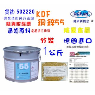 【巡航淨水】KDF-55銅鋅合金地下水沐浴器新增除重金屬.美國.淨水器.濾水器.RO純水機過濾器.貨號B2220