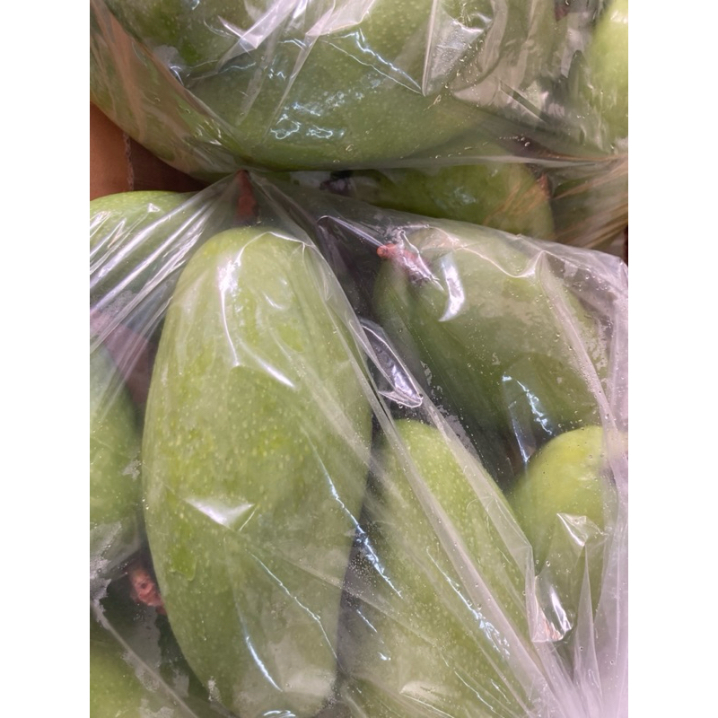 青芒果 生芒果 芒果10台斤