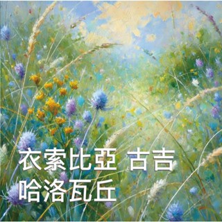 單品咖啡豆 衣索比亞 古吉 烏拉嘎 哈洛瓦丘處理廠【半磅】