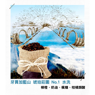 【古哥咖啡烘焙坊】精品咖啡豆｜牙買加藍山 琥珀莊園 No.1 水洗