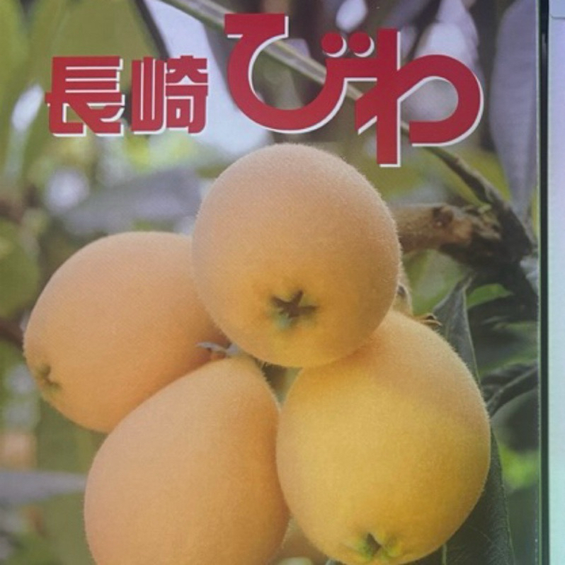 【 現貨日本空運原裝長崎縣茂木枇杷】  生津止渴 香甜多汁 日本空運直送 禮盒包裝