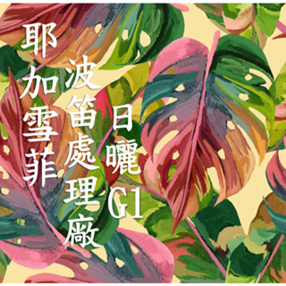 (2025) 獵豆工坊🐆 衣索比亞 耶加雪菲 科契爾 波笛處理廠 日曬g1 咖啡生豆 500g