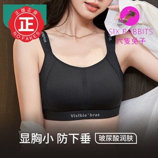 臺灣出貨 運動內衣 大尺碼內衣M-4XL 女防震防下垂 大胸顯小 無痕兔耳杯塑形薄款文胸 夏季內衣