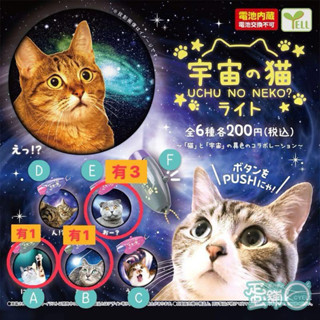 宇宙貓投影燈 迷因貓 迷因 貓 貓咪 扭蛋 燈 投影燈
