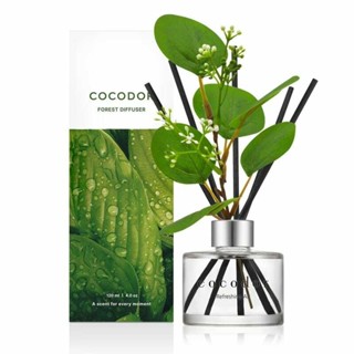 【GOLDEN 中壢店】COCODOR 森林系列擴香瓶