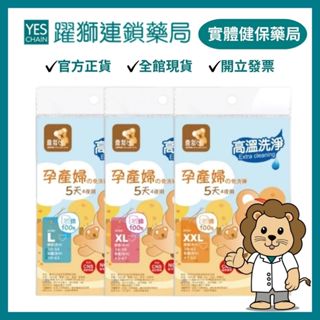 喜多 免洗褲5天4夜-孕婦型 (L/ XL/ XXL) 4入/包【躍獅藥局】
