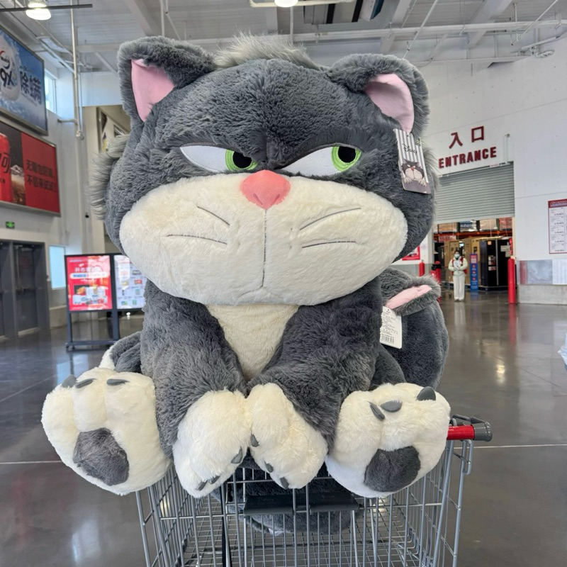 𓅓MOCHO𓅓 4月預購 COSTCO限定 迪士尼 大號路西法絨毛布偶 魯斯佛 附毛毯 80cm