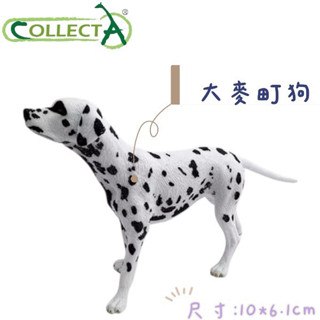 CollectA 英國高擬真模型 大麥町狗 模型 動物