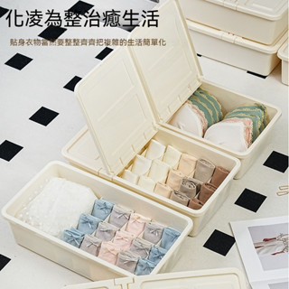 塑膠收納盒 內衣收納盒 加厚衣物整理箱 文胸襪子儲物箱 雙翻蓋床底箱 帶抽屜 分格收納 北歐風
