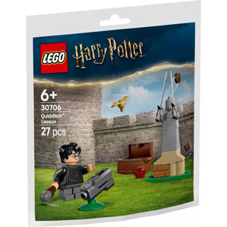 ［想樂］『小包』全新 樂高 LEGO 30706 Harry Potter 哈利波特 魁地奇 Quidditch Lesson polybag