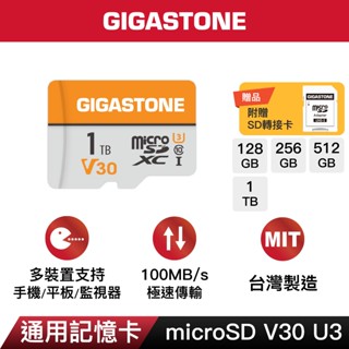 【GIGASTONE】通用記憶卡1T/512G/256G V30 U3｜臺灣製造microSD/C10 U1/監視器