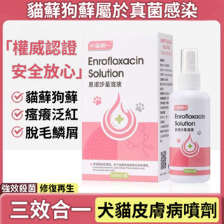 臺灣出貨🔥寵物皮膚護理噴劑 狗皮膚病 寵物抗菌 寵物皮膚病 寵物噴劑 貓咪皮膚病 狗黴菌 貓狗專用 皮膚噴霧劑 LAV7