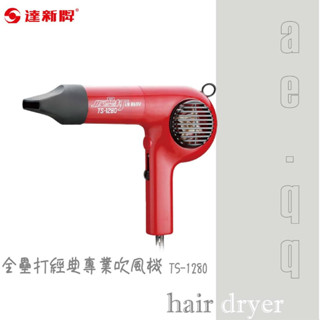 【蝦幣回饋10%】達新牌-全壘打經典專業吹風機(TS-1280)
