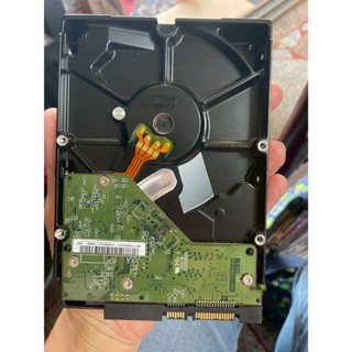 【吉兒二手商店】WD 藍標 SATA 16MB Cache 500GB 硬碟 WD5000AAKX