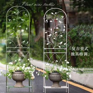 ✨免運開票 陽臺爬藤架 庭院柵欄落地客廳屏風室內外植物花架子綠蘿植物支架柱花架 爬藤架 鐵藝花架 裝飾支架 組閤爬藤支架
