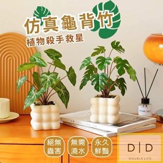 【臺灣現貨】模擬龜背竹 辦公居家綠化佈置 模擬綠植物 龜背竽 植物盆栽 仿真花 居家 商業擺飾 綠化植物