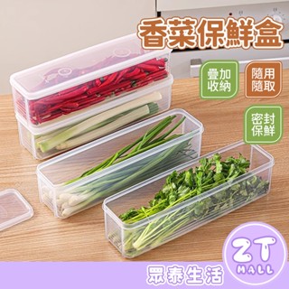 長條收納盒 香菜收納盒 蔬菜收納盒 雞蛋收納盒 麵條收納盒 雜糧收納盒 窄長型保鮮盒 整根小蔥香菜收納盒 ZT官方旗艦店