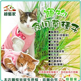 【綠藝家】寵物食用草系列種子│貓草 生菜 種子 苜蓿草 四倍體黑麥草 黑燕麥 小麥草 百慕達草 豌豆嬰 牧草