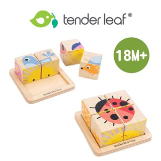 美國【Tender Leaf】可愛瓢蟲 立體拼圖 木製玩具 兒童玩具 積木玩具 木質玩具 玩具 木頭玩具｜baby888