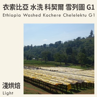 KaKaLove 咖啡 - 衣索比亞 水洗 科契爾 雪列圖 G1 0.5磅