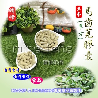 【喬瑟芬的秘密】明峰中藥行 馬齒莧膠囊 馬齒莧 豬母乳 馬生菜 酸莧-裸粒50顆裝