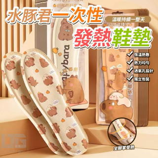 臺灣現貨-隔日出/一次性發熱鞋墊 男/女款 暖腳 暖足墊 發熱鞋墊 保暖鞋墊 暖足貼 暖足包 保暖鞋墊 暖暖包