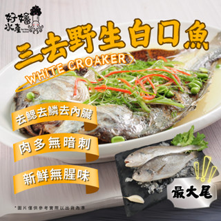 【好嬸水產】三去野生白口魚｜5號｜2尾/包｜430-720公克｜海港直送冷凍白口魚正帕頭三去白姑魚野生白姑魚去內臟白口魚