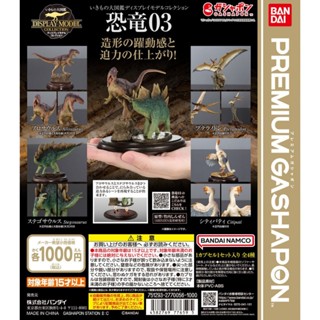 𓅓MOCHO𓅓 現貨 BANDAI Premium 扭蛋 生物大圖鑑展示模型-恐龍P3 全4種