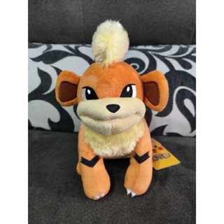 正版授權寶可夢神奇寶貝Pokémon 卡蒂狗20公分娃娃公仔玩偶抱枕全新品