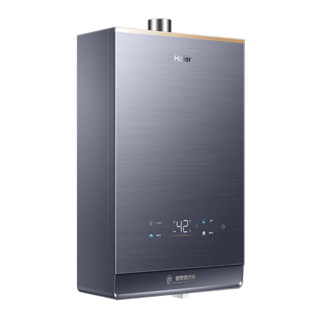 【安東企業社】 Haier海爾 燃氣熱水器GT5-16L