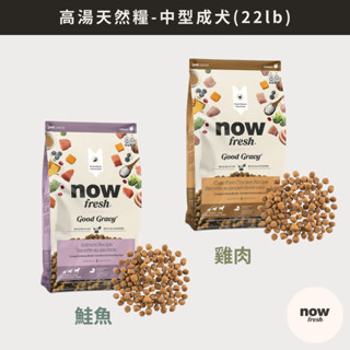 w野獸屋w 加拿大NOW！高湯天然糧 中型成犬 22lb|雞肉/鮭魚.火雞高湯包覆.狗飼料.圓形中顆粒.均衡鈣磷比
