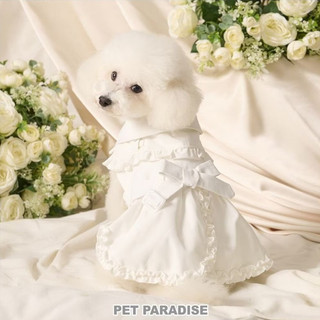 【PET PARADISE】荷葉邊寵物風衣斗篷 (3S/SS/S)｜cherircouture 2025全新春裝系列