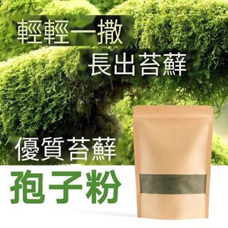 （快速出貨）💯假山苔蘚孢子粉青苔種子（10000粒）微景觀草植物鋪面裝飾造景種子水生植物吸水石盆栽盆栽綠化發芽率高