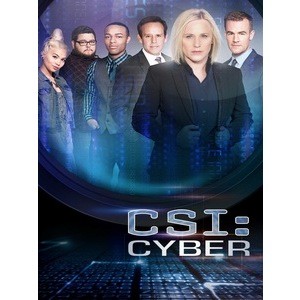 🔥藍光歐美影集🔥 [英] 犯罪現場調查 - 網路犯罪 第一季 (CSI - Cyber S01) (2015)