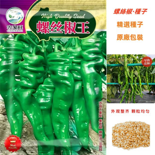 【原廠包裝】香辣螺絲辣椒種子 約500粒 蔬菜種子薄皮青椒四季庭院盆栽青螺絲椒 辣椒種子大全
