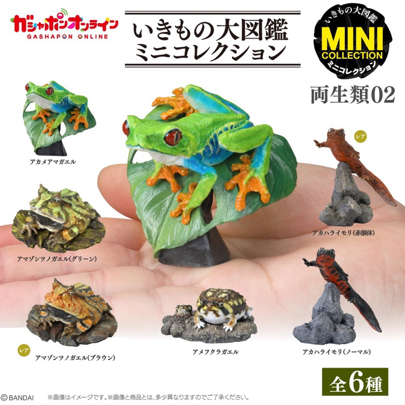 全新現貨Bandai生物大圖鑑mini兩生類 P1 &P2 ＆日本國寶級大鯢-大山椒魚＆墨西哥鈍口螈-六角恐龍 扭蛋
