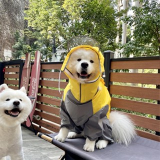 【汪喵森活】 寵物雨衣 2色 大狗雨衣 大型犬 狗雨衣 雨衣 包腹 米克斯 薩摩耶 哈士奇 黃金獵犬 拉不拉多 邊牧