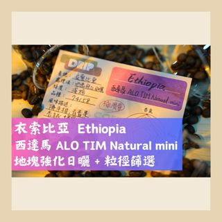 【黑金沖煮賽冠軍🏆】KAJA 咖家｜【地塊強化日曬】衣索比亞 西達馬 ALO TIM Natural mini 單品咖啡