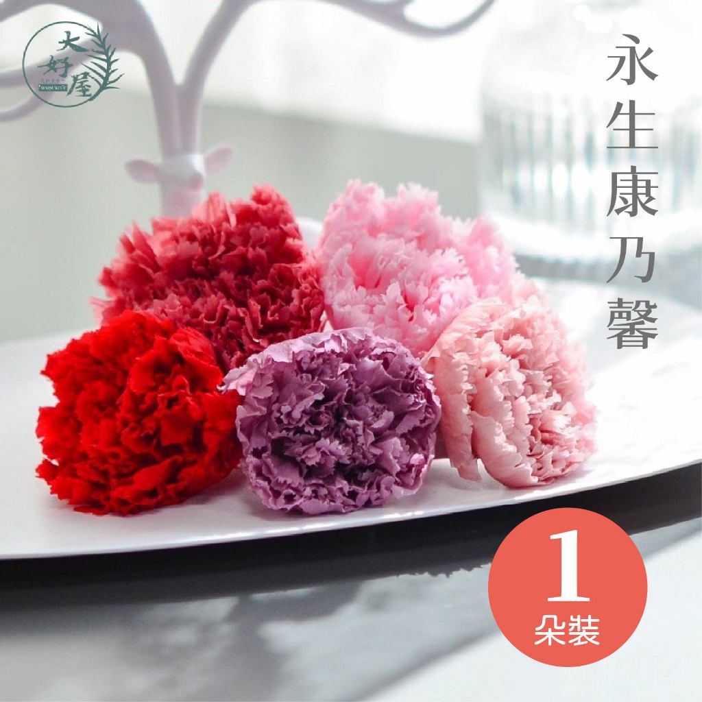 大好屋 隔日配  母親節 永生花 康乃馨 1朵裝 單顆特價 不凋康乃馨花束 母親節花禮 DIY手作 感恩花束  乾燥花