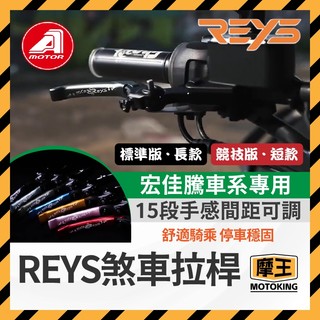 摩王👑🔥九折🔥REYS拉桿 STR STR拉桿 STR300 250 350R 機車拉桿 重機拉桿 拉桿 宏佳騰