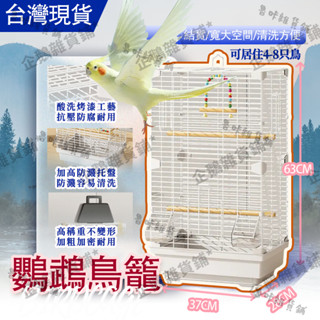 免運🚚臺灣現貨🔔超大豪華鳥籠 鸚鵡鳥籠 鳥籠子 鸚鵡籠子 寵物鳥籠 白鐵鳥籠 鸚鵡籠 中小型鳥籠 鳥籠 透明鳥籠