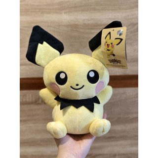 聊免運 全新現貨 正版 精靈寶可夢 神奇寶貝 皮丘 25公分 娃娃