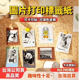 照片標籤紙 圖片列印 精臣圖像列印紙 B21 PRO/B21S 專用貼紙 防水 塗鴉
